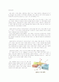 일반 물리 실험 - 자기력 측정 결과 4페이지