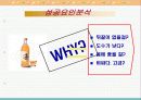 국순당 백세주 마케팅 전략 기획서 13페이지
