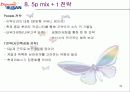 마케팅 전략 기획서 (부산지역의 계절별 축제의 활성화) 33페이지