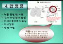 심폐소생술 24페이지
