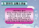 심폐소생술 26페이지