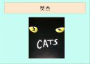 뮤지컬의 역사와 종류 19페이지
