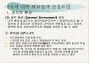 미국의 대북 정책 분석과 그 배경에 대한 다양한 해석 13페이지