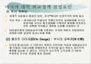 미국의 대북 정책 분석과 그 배경에 대한 다양한 해석 17페이지