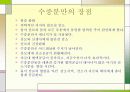 분만의 종류 6페이지