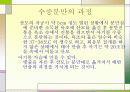 분만의 종류 10페이지