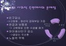 저출산 현상의 다양한 원인과 외국의 사례 및 저출산 극복을 위한 국가의 방안 제언(2007년 추천 우수 레포트 선정) 9페이지