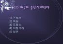 저출산 현상의 다양한 원인과 외국의 사례 및 저출산 극복을 위한 국가의 방안 제언(2007년 추천 우수 레포트 선정) 12페이지