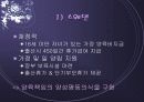 저출산 현상의 다양한 원인과 외국의 사례 및 저출산 극복을 위한 국가의 방안 제언(2007년 추천 우수 레포트 선정) 13페이지