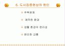 인구증가와 도시집중현상의 원인, 현황, 결과, 문제점, 대책방안  (2007년추천 우수 레포트 선정) 11페이지
