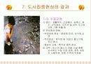 인구증가와 도시집중현상의 원인, 현황, 결과, 문제점, 대책방안  (2007년추천 우수 레포트 선정) 14페이지