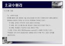 [스키너 이론] B.F.Skinner의 조작적 조건형성이론 분석과 교육에서의 적용 (2007년 ★★★★★ 추천 우수 레포트 선정) 19페이지