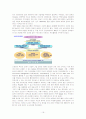 ERP의 개념과 특징,기능,효과,성공사례,실패사례 심층분석 19페이지