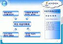 부산 자갈치 축제 활성화 방안 (마케팅 전략 기획서) 5페이지