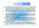 부산 국제 영화제 보고서 (마케팅 전략 기획서) 2페이지