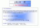 부산 국제 영화제 보고서 (마케팅 전략 기획서) 5페이지