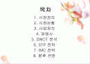 실버헬퍼 (노인헬퍼) - 실버산업 사업계획서 2페이지