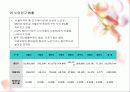 실버헬퍼 (노인헬퍼) - 실버산업 사업계획서 7페이지