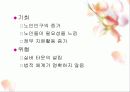 실버헬퍼 (노인헬퍼) - 실버산업 사업계획서 14페이지