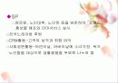 실버헬퍼 (노인헬퍼) - 실버산업 사업계획서 17페이지