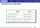 “에쿠스”의 브랜드 가치 극대화 방안 (전략기획서) 13페이지