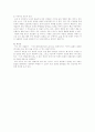 나의 라임오렌지나무를 읽고를 아동복지의 측면에서 분석하고 평가 4페이지