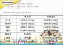 New Mass Luxury Product '하겐다즈' 마케팅 전략기획서 11페이지