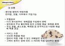 New Mass Luxury Product '하겐다즈' 마케팅 전략기획서 12페이지