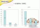 New Mass Luxury Product '하겐다즈' 마케팅 전략기획서 19페이지