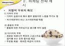 New Mass Luxury Product '하겐다즈' 마케팅 전략기획서 24페이지