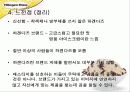 New Mass Luxury Product '하겐다즈' 마케팅 전략기획서 29페이지