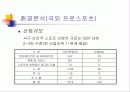 국내 프로스포츠 활성화 방안 마케팅 전략 기획서 11페이지