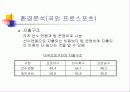 국내 프로스포츠 활성화 방안 마케팅 전략 기획서 13페이지
