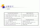 국내 프로스포츠 활성화 방안 마케팅 전략 기획서 17페이지