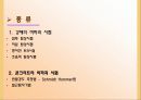 강재 및 콘크리트의 비파괴 시험 조사 3페이지