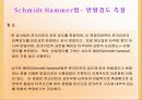 강재 및 콘크리트의 비파괴 시험 조사 14페이지
