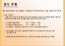 강재 및 콘크리트의 비파괴 시험 조사 19페이지