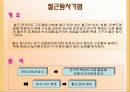 강재 및 콘크리트의 비파괴 시험 조사 24페이지