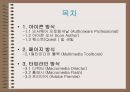 멀티미디어 제작도구 2페이지