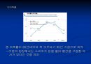 태평양의 '설화수(雪花秀)' 마케팅 전략 7페이지