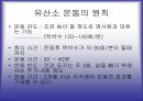 비만과 예방 15페이지