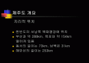 [현장 실습]제주도 토지 이용 현황(산업별, 지역별, 분포별 등등)과 토지이용 추세 2페이지