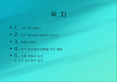 지구 온난화에 대한 고찰 2페이지