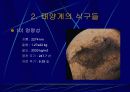 태양계의 식구들 30페이지