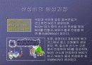 산성비에 대하여.. 5페이지
