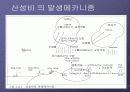 산성비에 대하여.. 6페이지