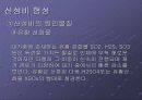 산성비에 대하여.. 7페이지