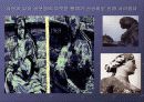 산성비에 대하여.. 15페이지