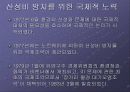 산성비에 대하여.. 28페이지