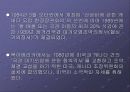산성비에 대하여.. 29페이지